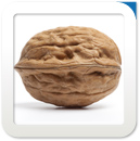 it-services, dienstleister, experten, zertifizierung, Telekommunikationshersteller, Netzbetreiber